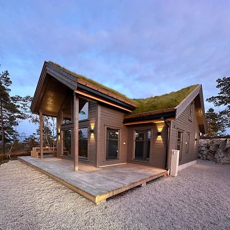 Modern Northern Lights Cabin Drangedal Zewnętrze zdjęcie
