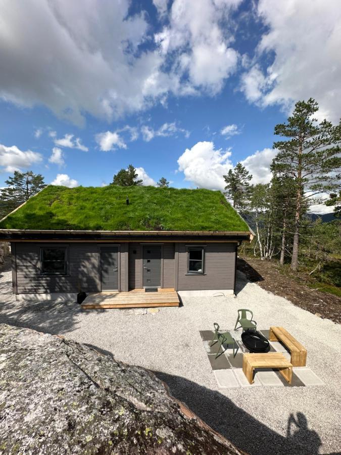 Modern Northern Lights Cabin Drangedal Zewnętrze zdjęcie