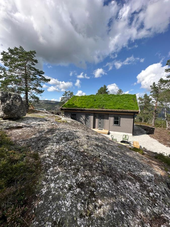Modern Northern Lights Cabin Drangedal Zewnętrze zdjęcie