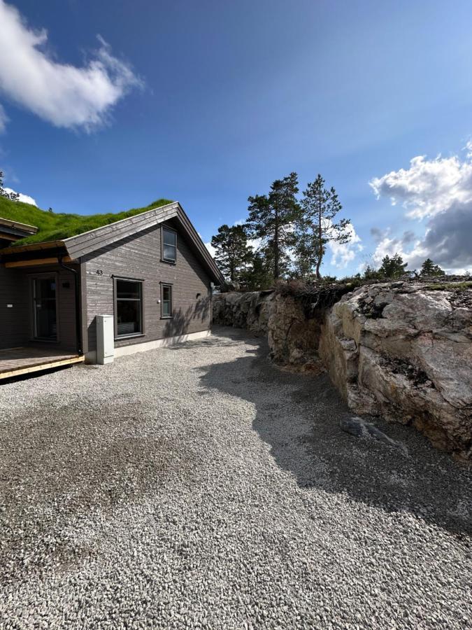Modern Northern Lights Cabin Drangedal Zewnętrze zdjęcie