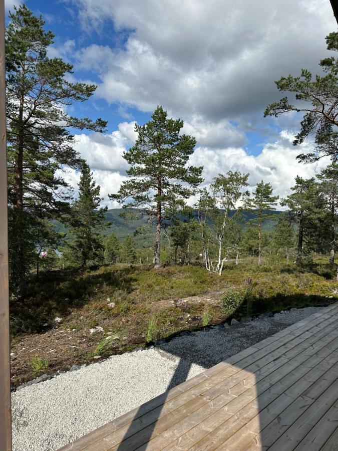 Modern Northern Lights Cabin Drangedal Zewnętrze zdjęcie