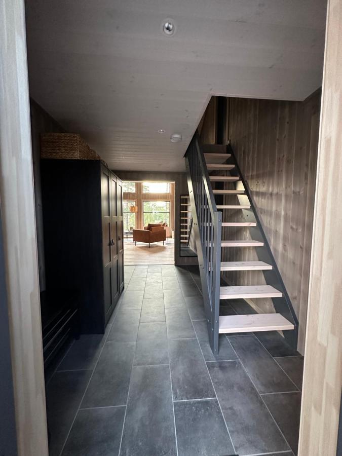 Modern Northern Lights Cabin Drangedal Zewnętrze zdjęcie