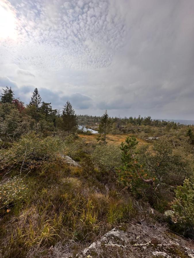 Modern Northern Lights Cabin Drangedal Zewnętrze zdjęcie
