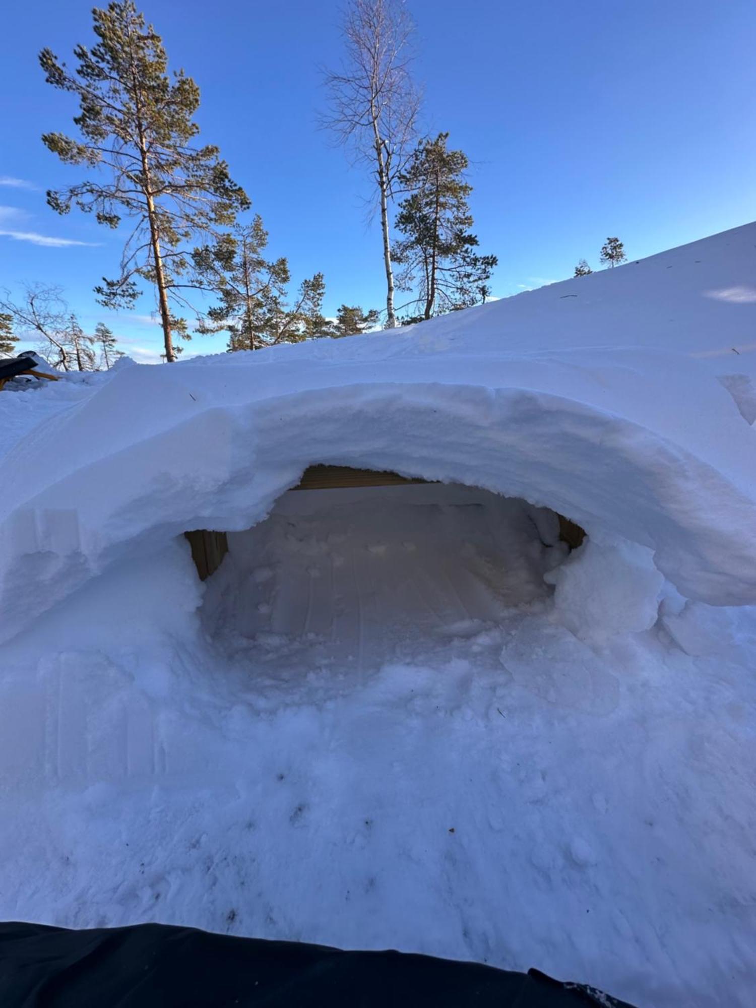 Modern Northern Lights Cabin Drangedal Zewnętrze zdjęcie