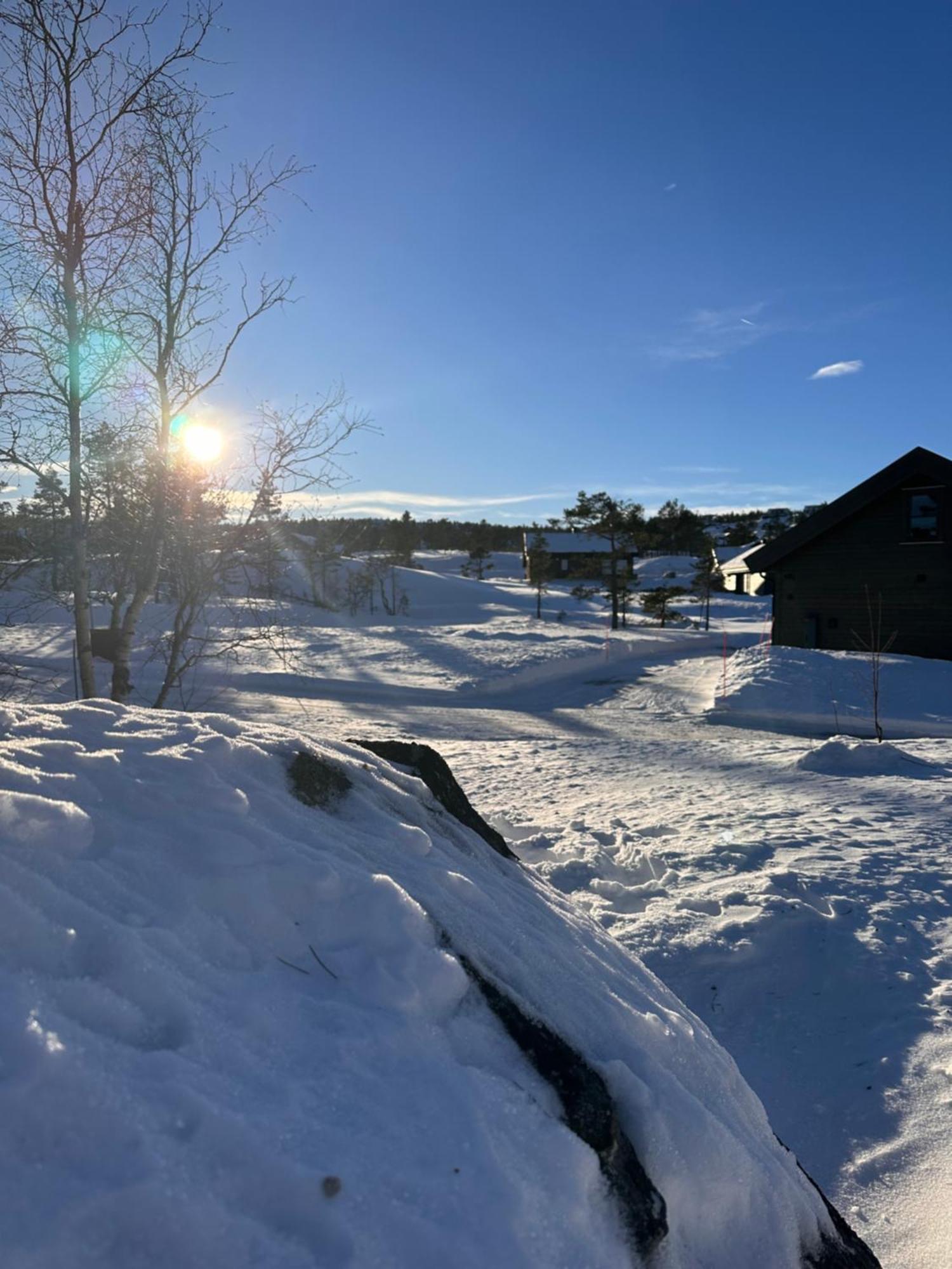 Modern Northern Lights Cabin Drangedal Zewnętrze zdjęcie