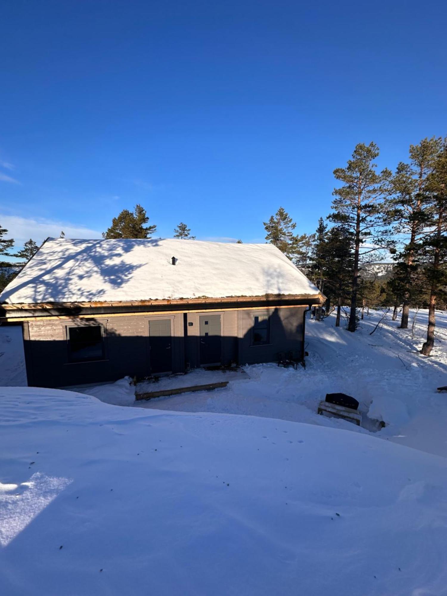 Modern Northern Lights Cabin Drangedal Zewnętrze zdjęcie