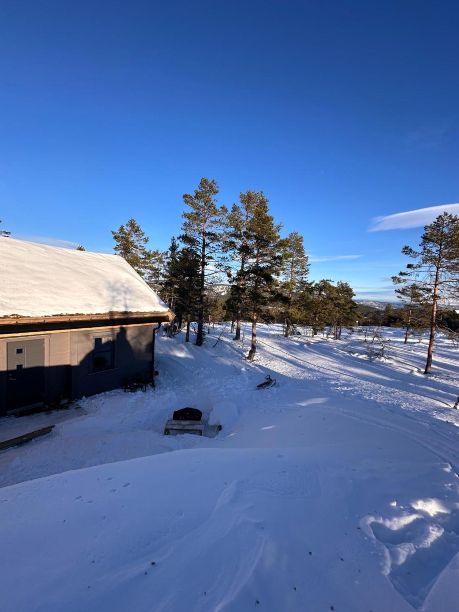 Modern Northern Lights Cabin Drangedal Zewnętrze zdjęcie