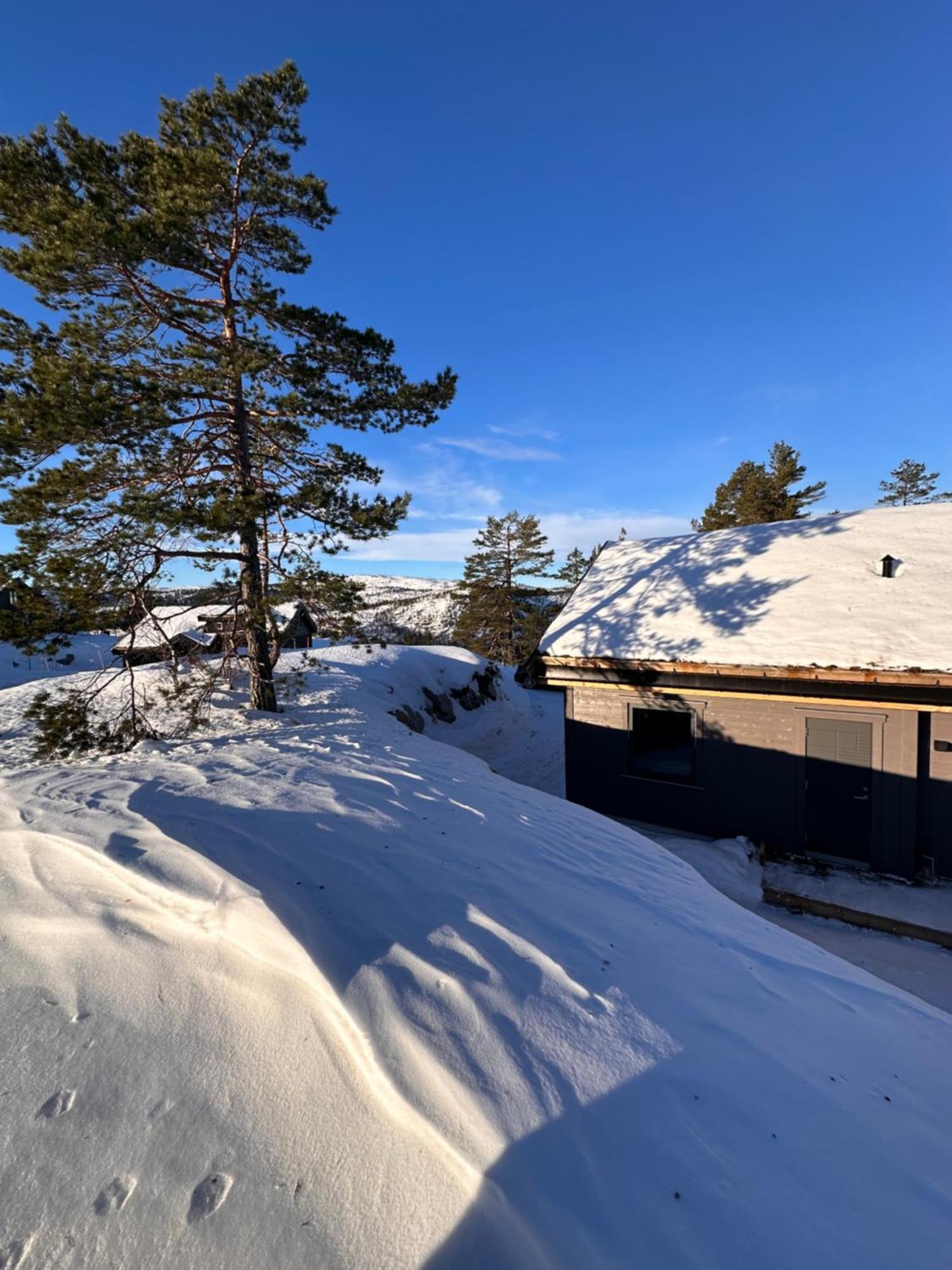 Modern Northern Lights Cabin Drangedal Zewnętrze zdjęcie