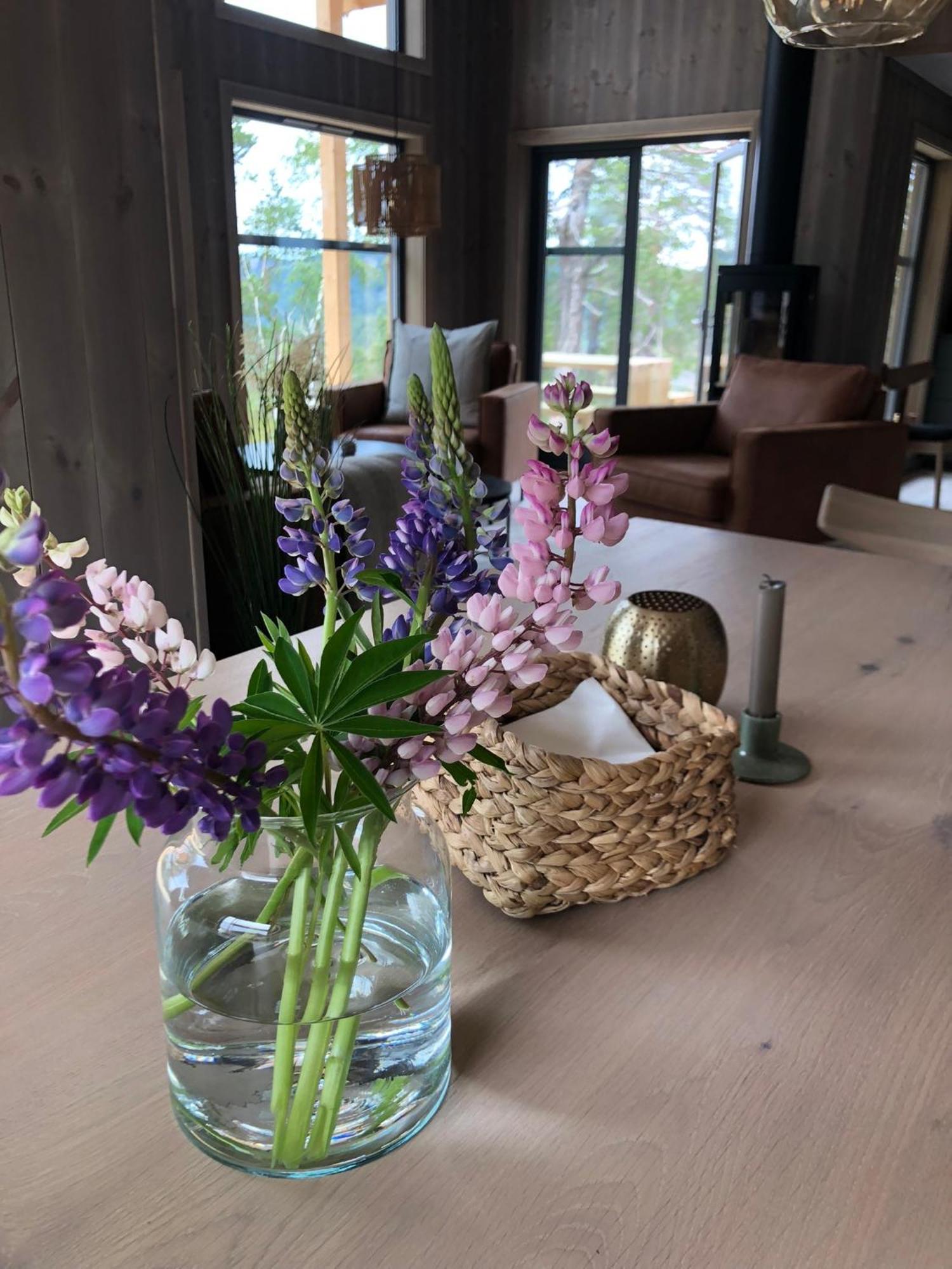 Modern Northern Lights Cabin Drangedal Zewnętrze zdjęcie