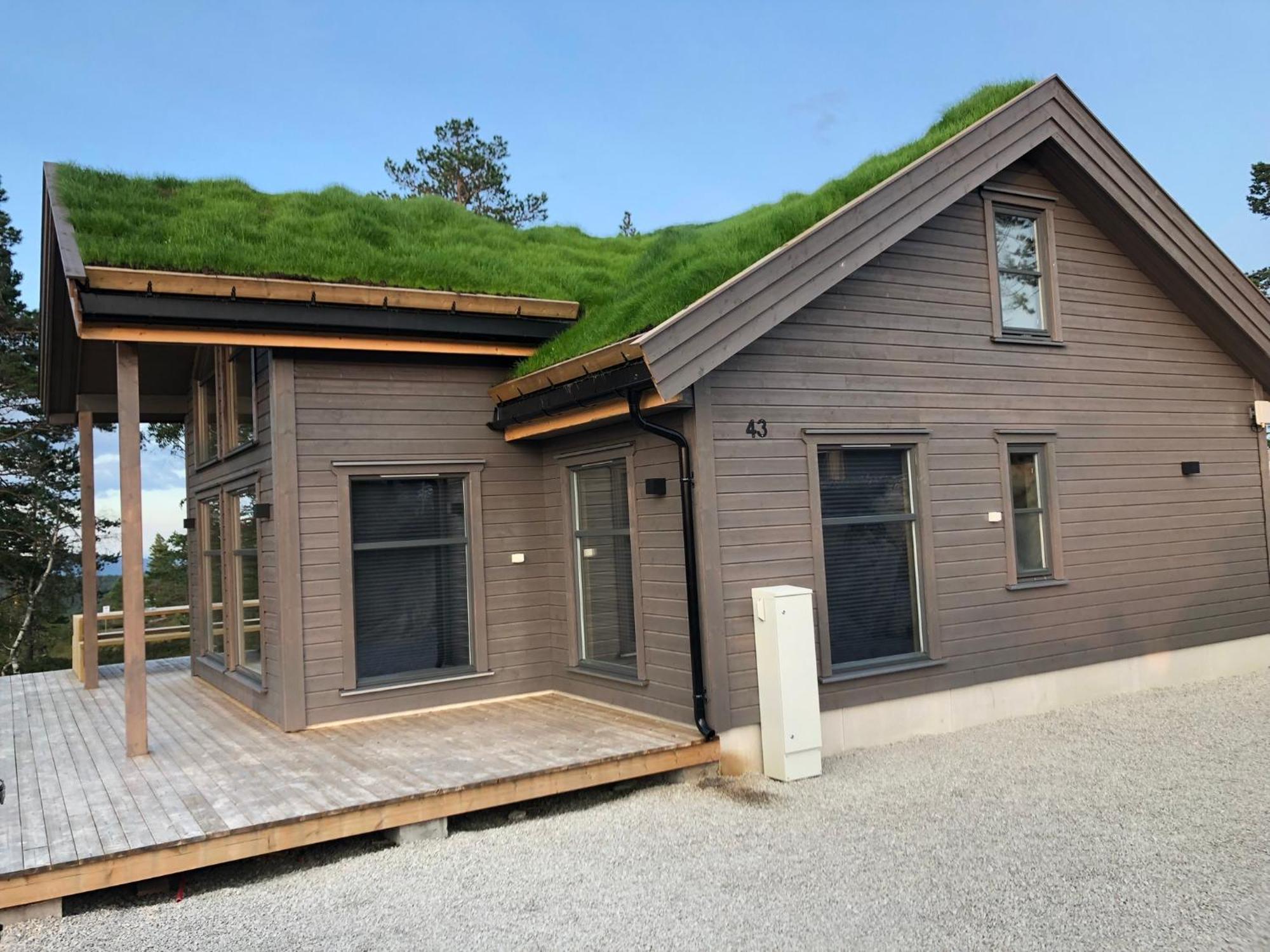 Modern Northern Lights Cabin Drangedal Zewnętrze zdjęcie