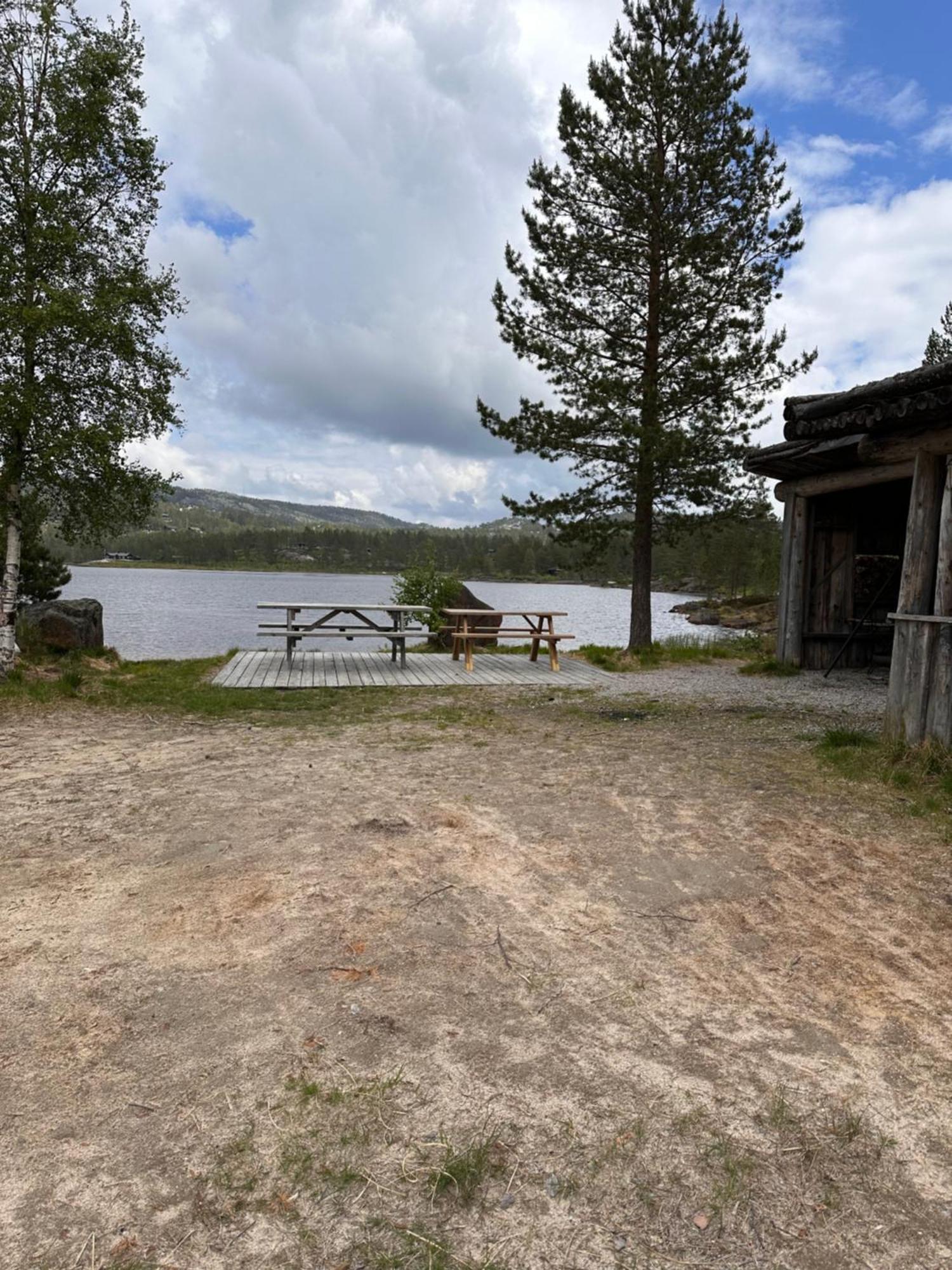 Modern Northern Lights Cabin Drangedal Zewnętrze zdjęcie