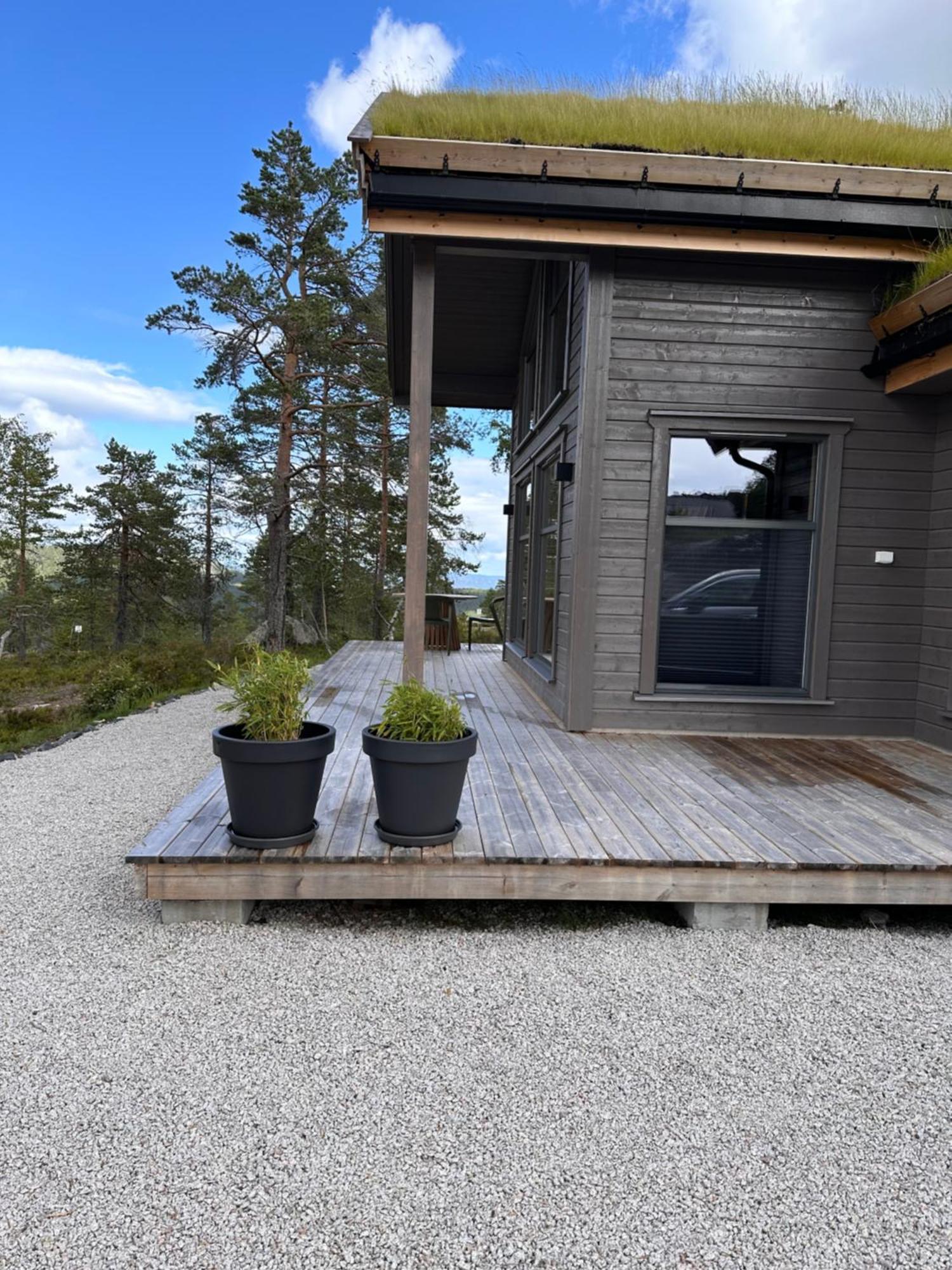 Modern Northern Lights Cabin Drangedal Zewnętrze zdjęcie