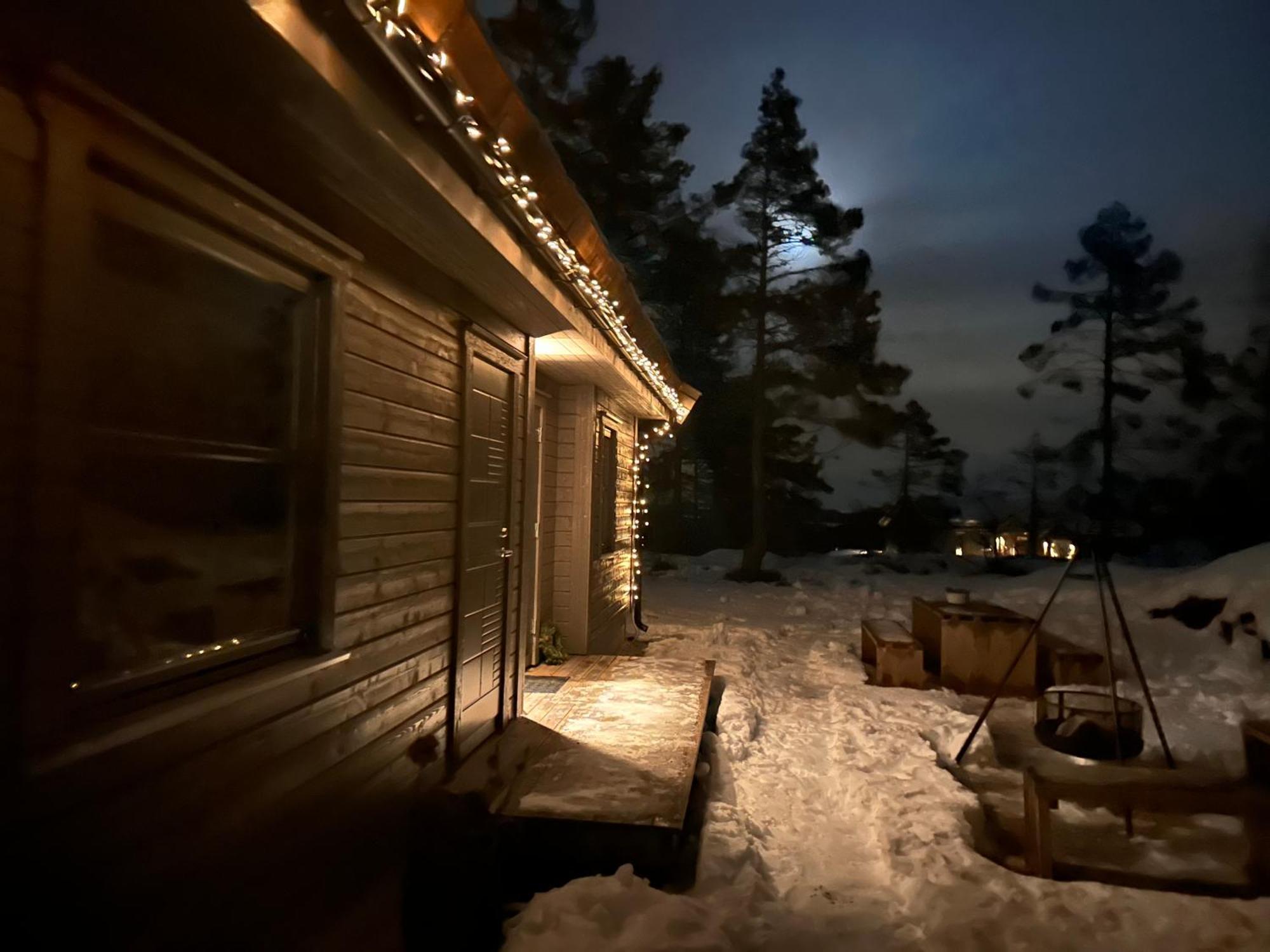 Modern Northern Lights Cabin Drangedal Zewnętrze zdjęcie