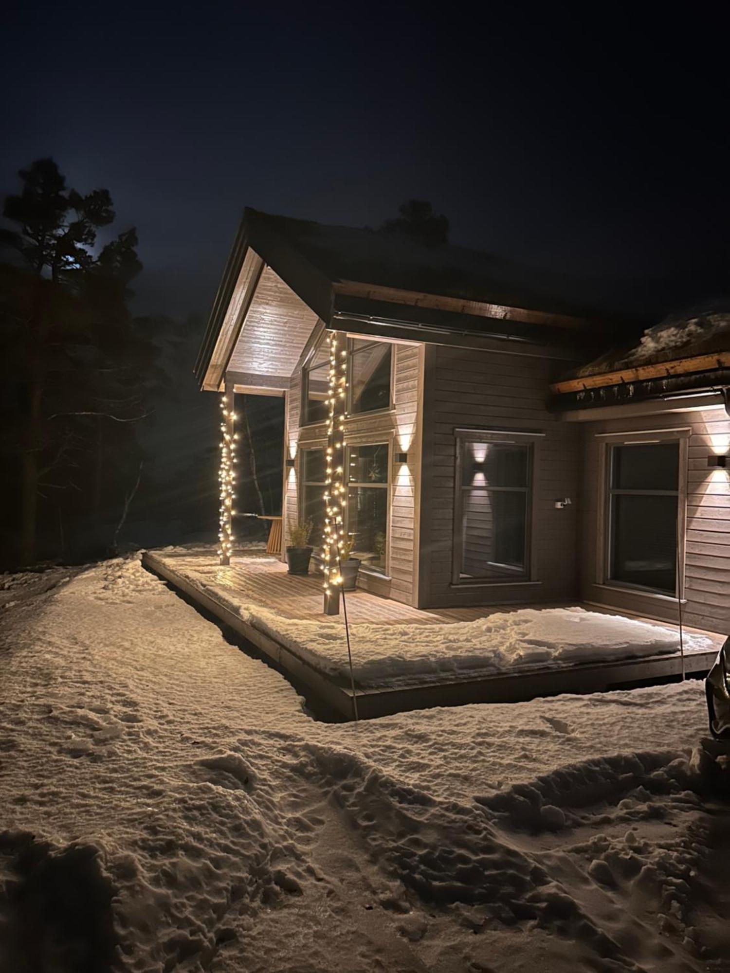 Modern Northern Lights Cabin Drangedal Zewnętrze zdjęcie