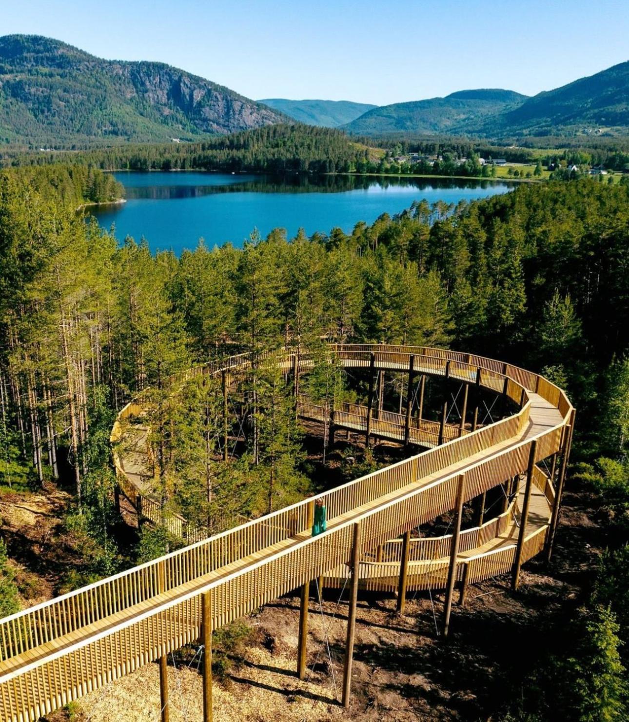 Modern Northern Lights Cabin Drangedal Zewnętrze zdjęcie